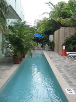 gay nude resort|Pineapple Point: Luxury Gay Resort in South Florida